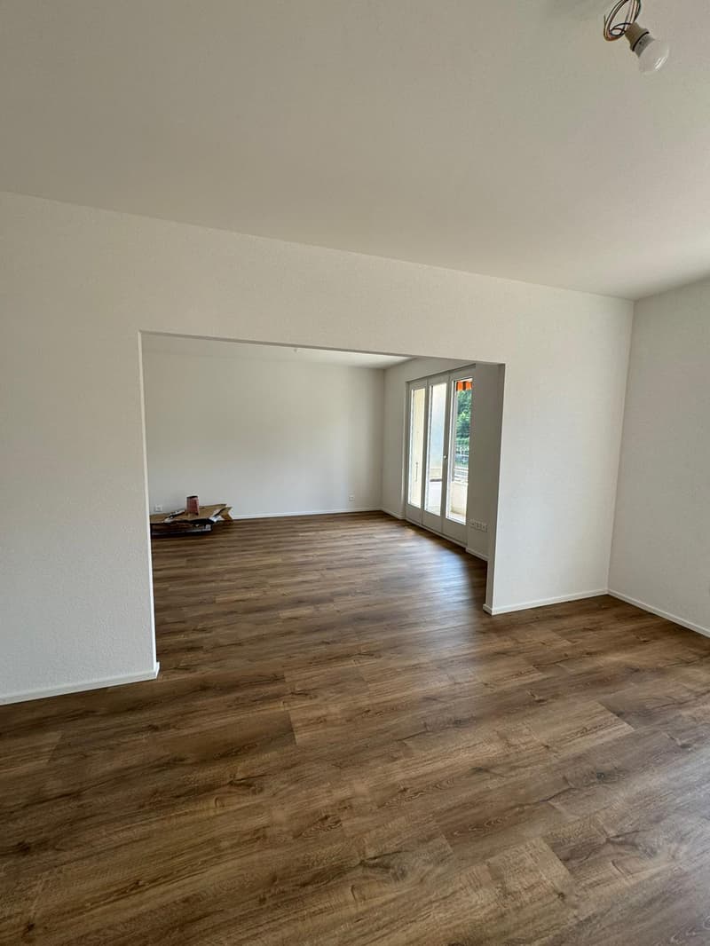 Magnificent fully renovated apartment in PPE with 4 rooms (93m2) (4)