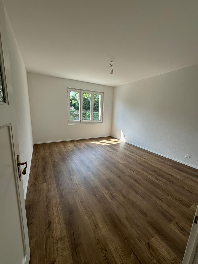 Magnificent fully renovated apartment in PPE with 4 rooms (93m2) (5)