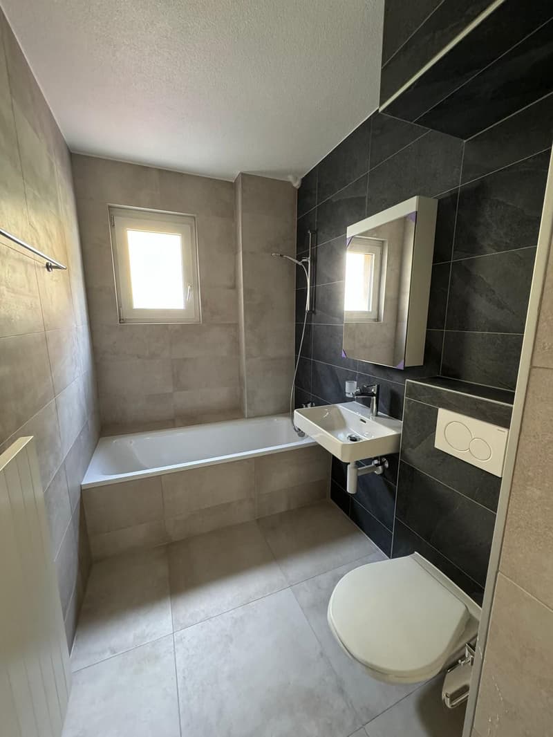 Magnificent fully renovated apartment in PPE with 4 rooms (93m2) (6)