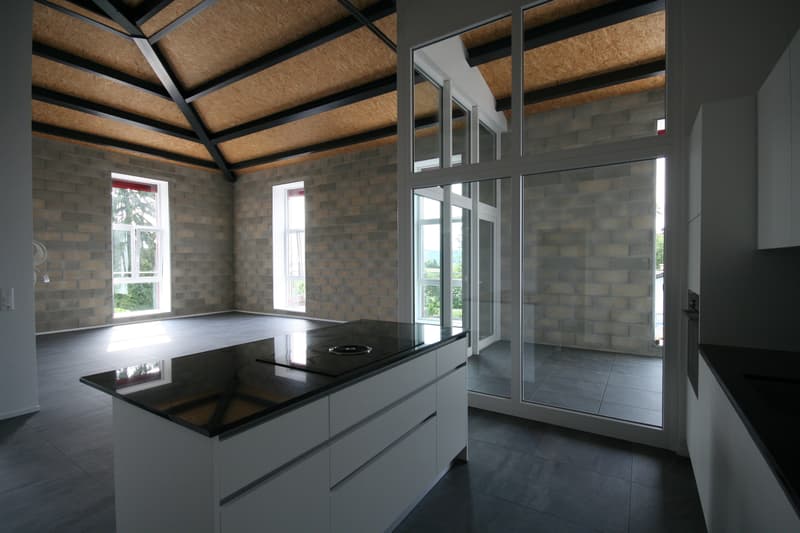 Ampio loft di 2.5 locali a Gampelen (2)