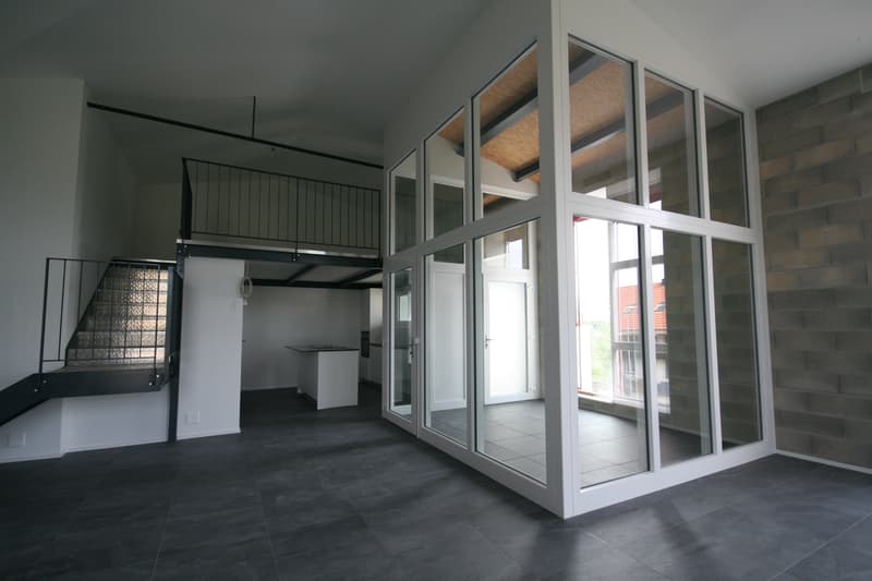 Ampio loft di 2.5 locali a Gampelen (4)