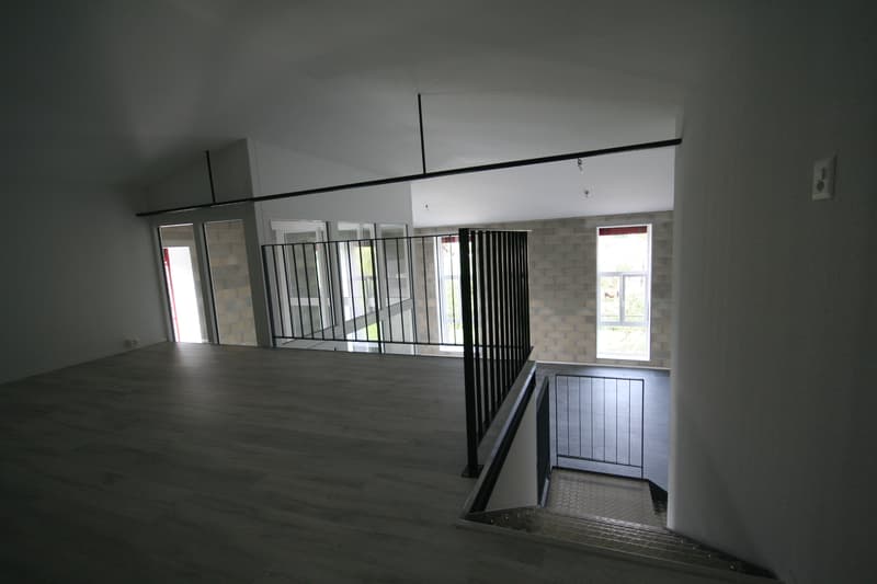Ampio loft di 2.5 locali a Gampelen (3)