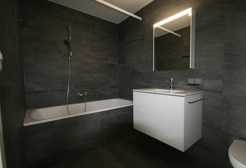 Ampio loft di 2.5 locali a Gampelen (5)