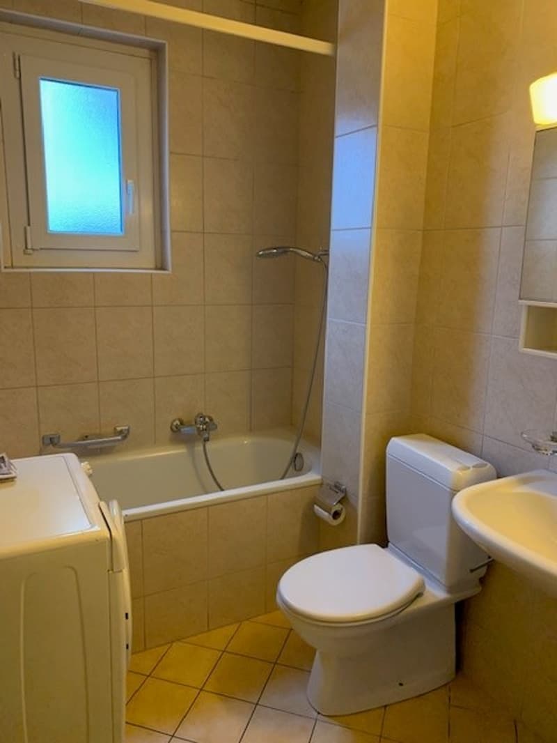 Beautiful 4-room apartment with 90m2 and a view of the lake and the Alps (8)