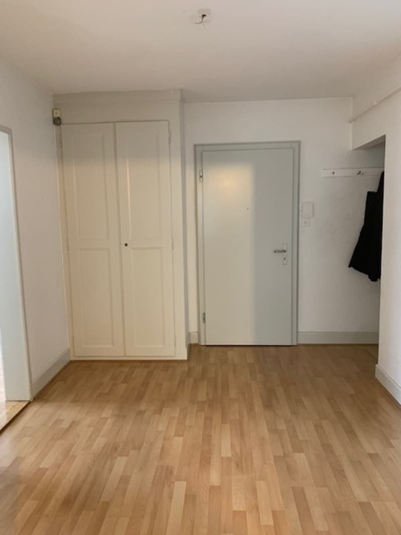 Beautiful 4-room apartment with 90m2 and a view of the lake and the Alps (5)