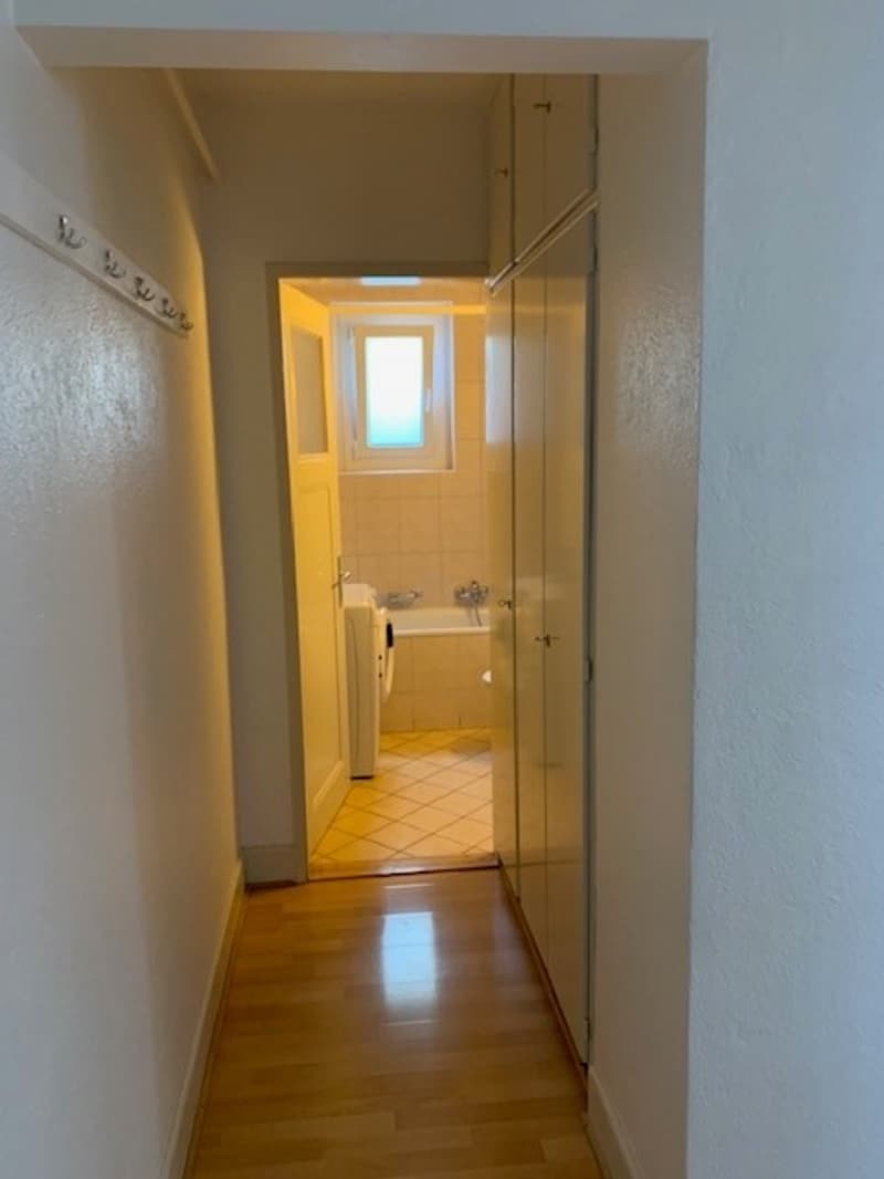 Beautiful 4-room apartment with 90m2 and a view of the lake and the Alps (7)