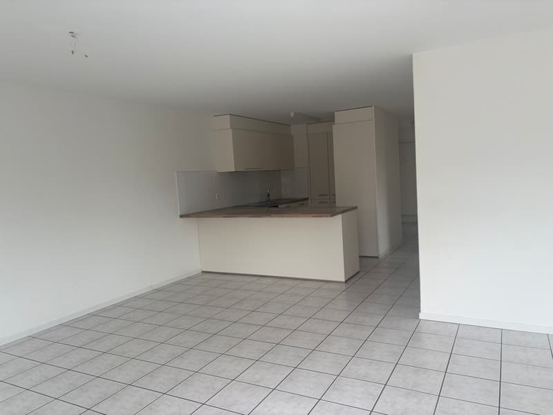 Vollständig renoviertes und sonniges 4,5-Zimmer-Apartment mit Balkon (3)