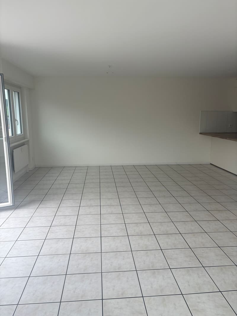 Vollständig renoviertes und sonniges 4,5-Zimmer-Apartment mit Balkon (4)