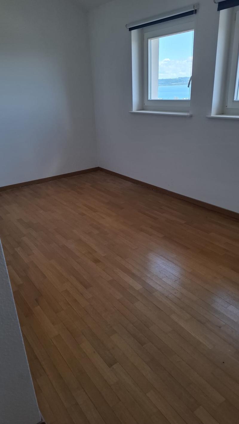Beautiful partially renovated 3.5-room apartment with a view ... (5)