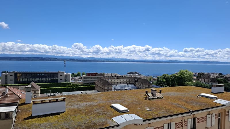 Beautiful partially renovated 3.5-room apartment with a view ... (1)
