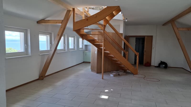 Beautiful partially renovated 3.5-room apartment with a view ... (3)