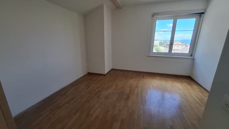 Beautiful partially renovated 3.5-room apartment with a view ... (4)
