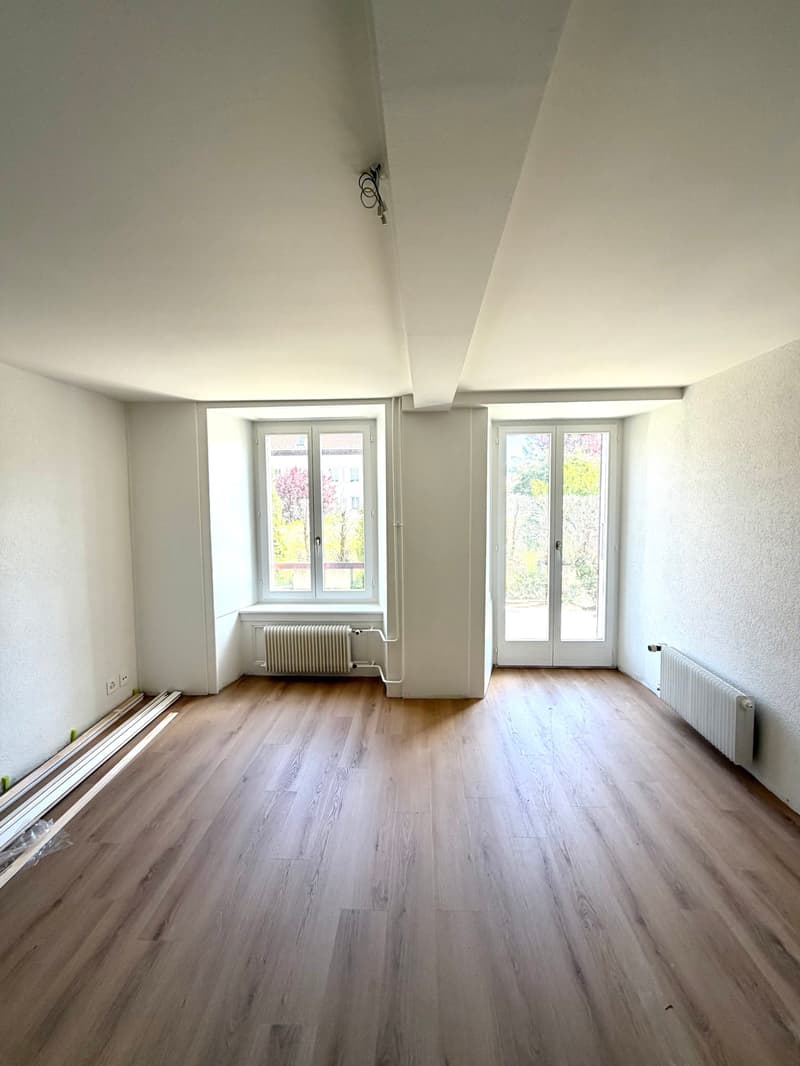 Prächtiges, vollständig renoviertes 2-Zimmer-Dachterrassenapartment (3)