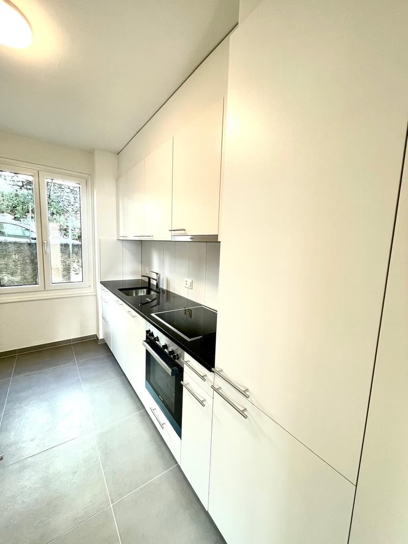 With a view of the lake and the Alps, beautiful 3.5-room apartment (2)