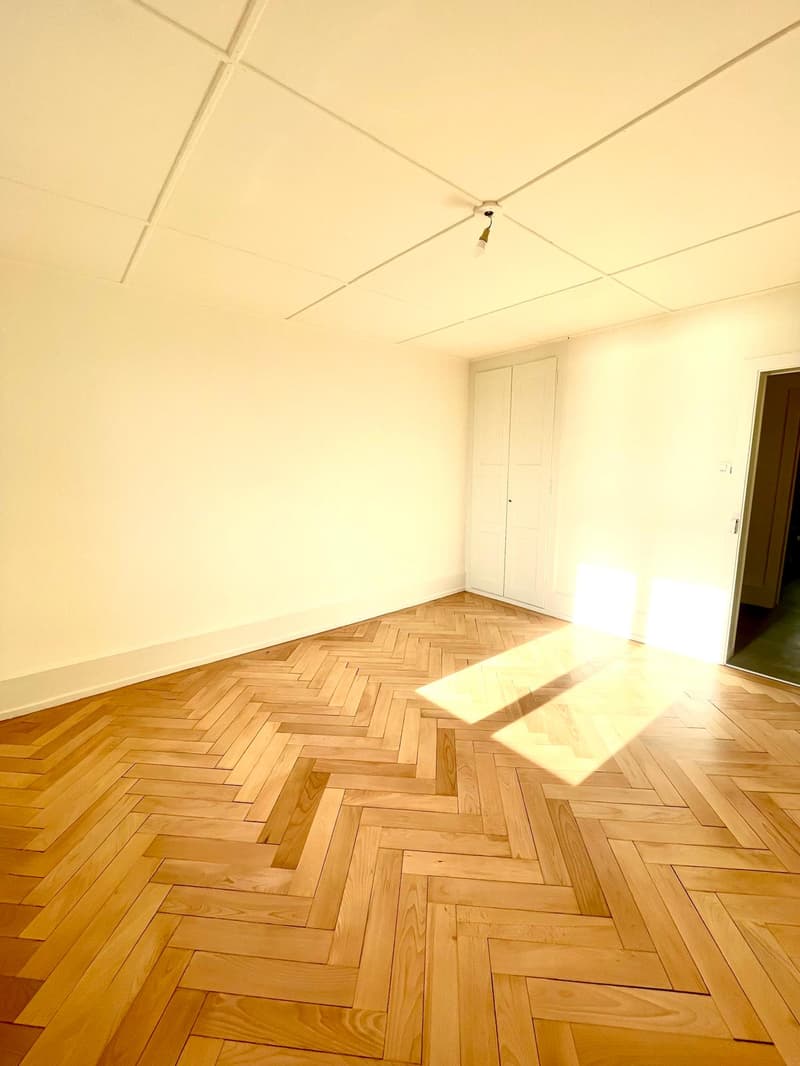 With a view of the lake and the Alps, beautiful 3.5-room apartment (6)