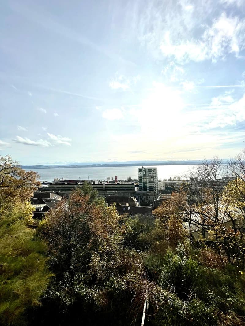 With a view of the lake and the Alps, beautiful 3.5-room apartment (13)