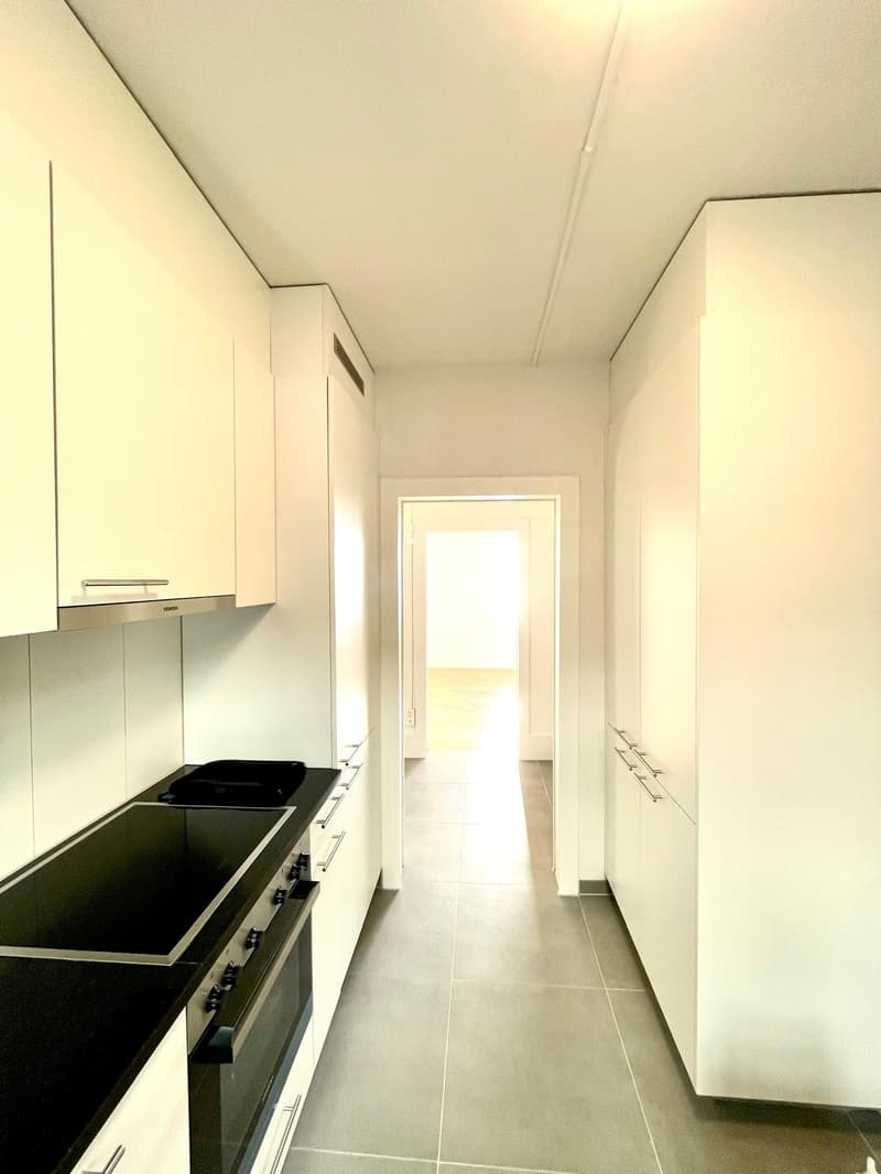 With a view of the lake and the Alps, beautiful 3.5-room apartment (3)