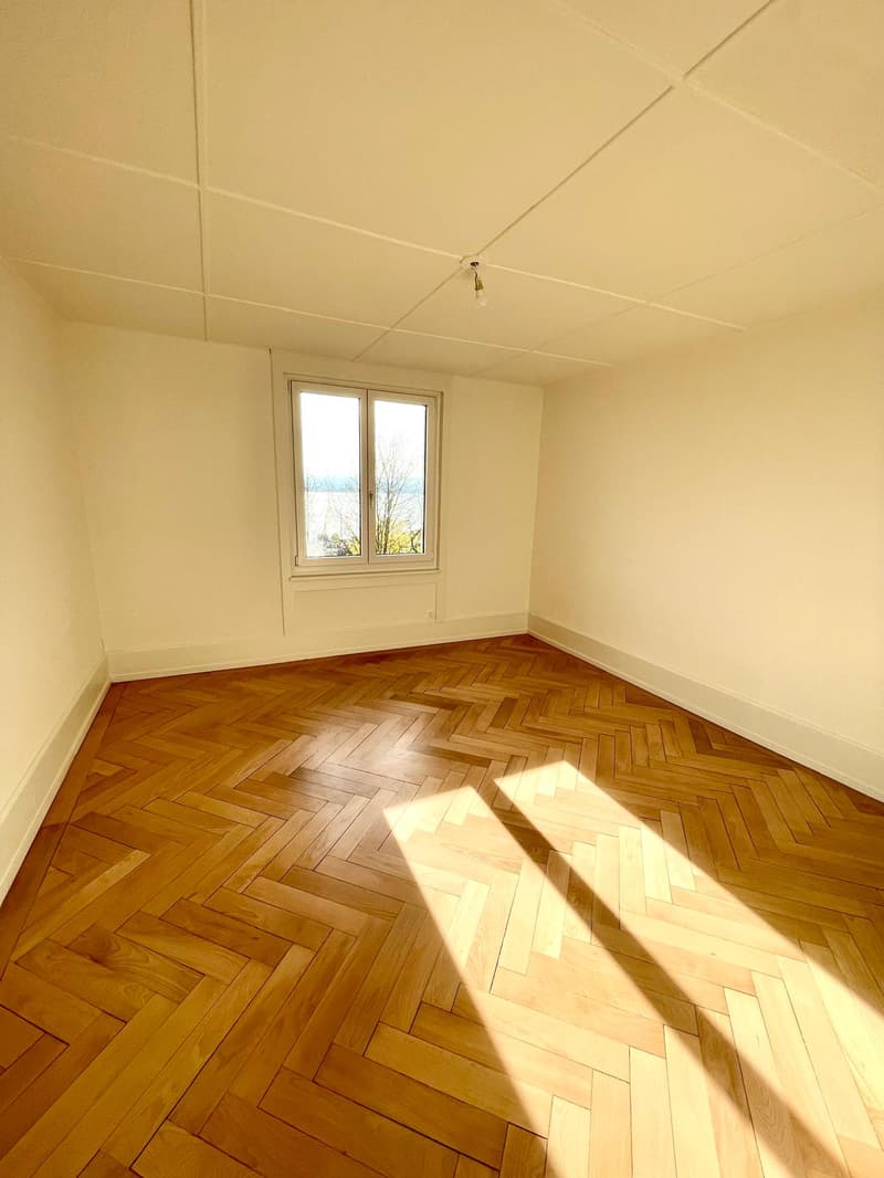 With a view of the lake and the Alps, beautiful 3.5-room apartment (8)
