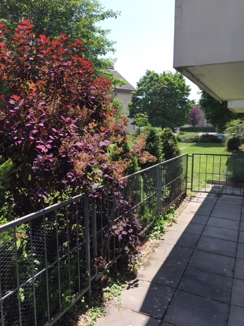 Magnifique appartement de 2.5 pièces au rez-de-chaussée avec terras... (4)