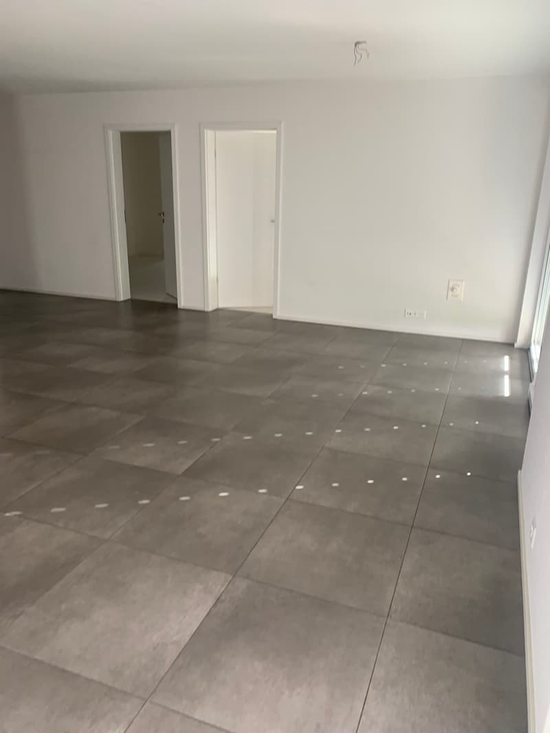 Bello appartamento di 3.5 locali con terrazza (7)