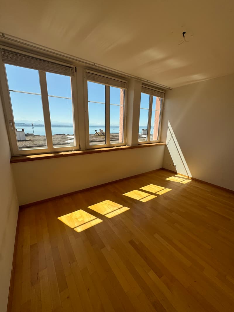 Magnifique appartement avec vue sur le lac et les Alpes, proche de ... (10)