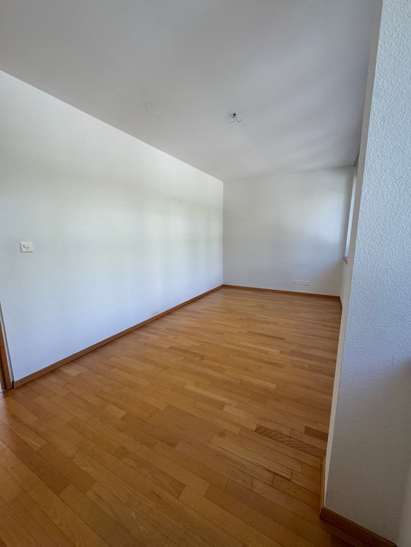 Magnifique appartement avec vue sur le lac et les Alpes, proche de ... (6)