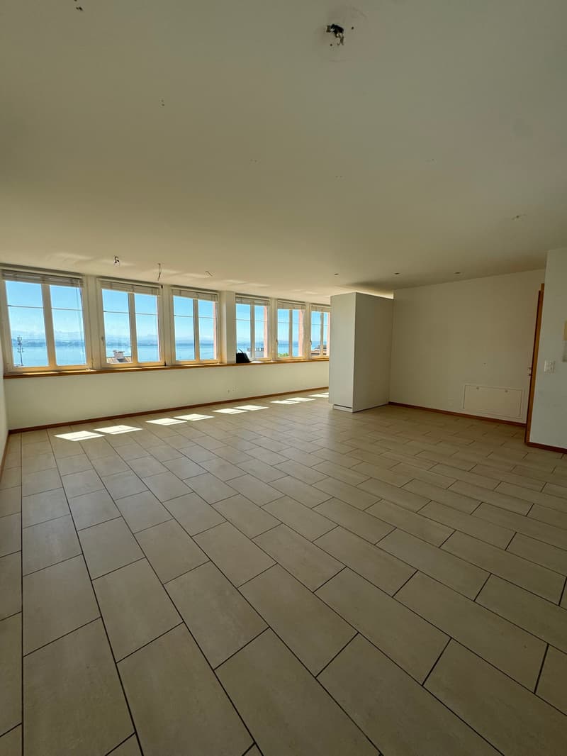 Magnifique appartement avec vue sur le lac et les Alpes, proche de ... (4)