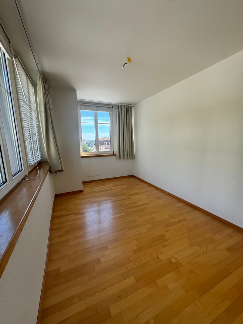 Magnifique appartement avec vue sur le lac et les Alpes, proche de ... (8)