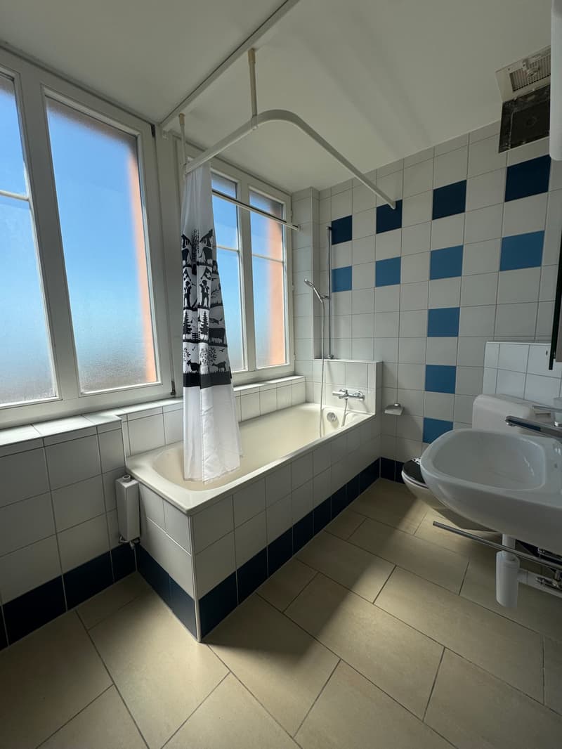 Magnifique appartement avec vue sur le lac et les Alpes, proche de ... (13)