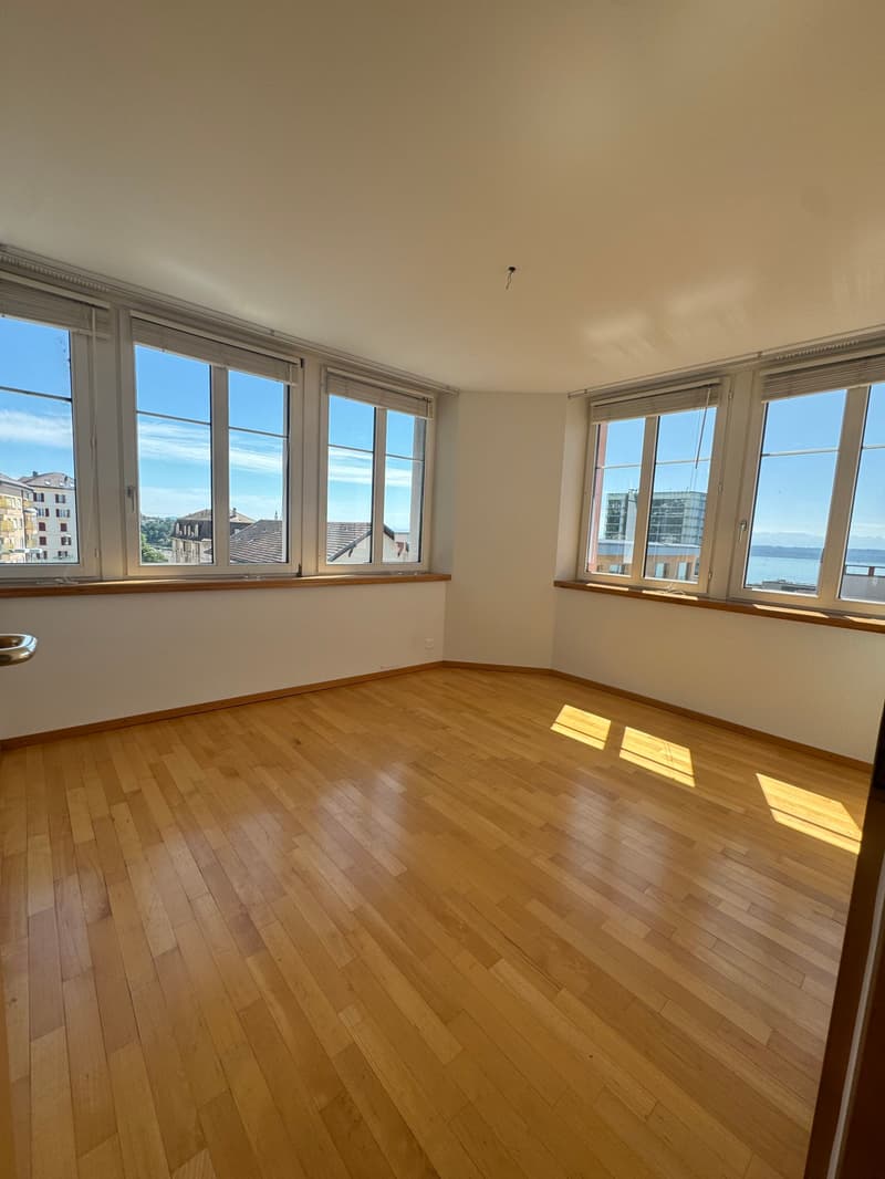 Magnifique appartement avec vue sur le lac et les Alpes, proche de ... (9)