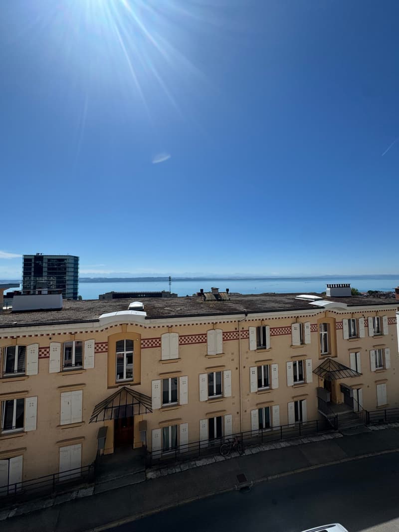 Magnifique appartement avec vue sur le lac et les Alpes, proche de ... (1)