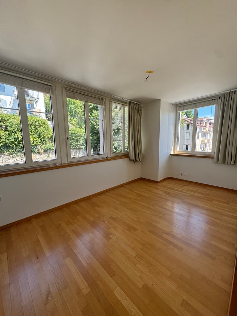 Magnifique appartement avec vue sur le lac et les Alpes, proche de ... (7)