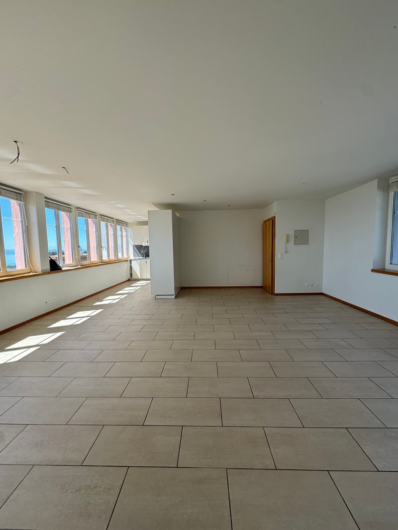 Magnifique appartement avec vue sur le lac et les Alpes, proche de ... (3)