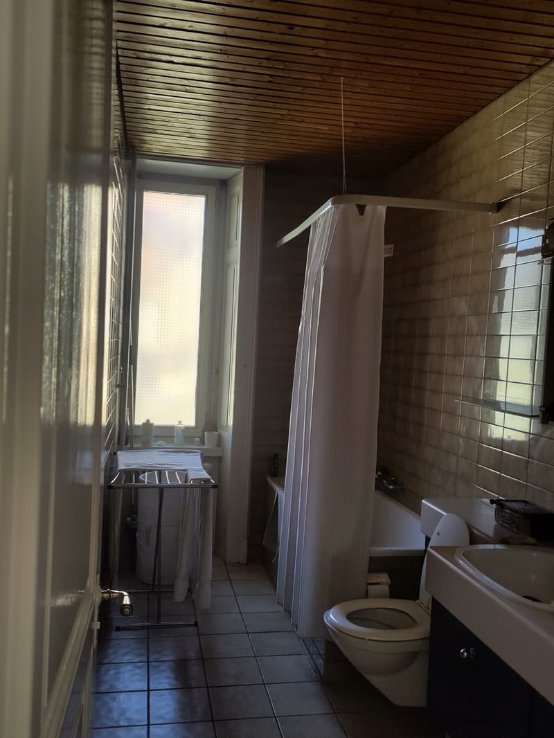 Appartement lumineux situé au 3? étage, côté ouest, en pignon d'imm... (4)