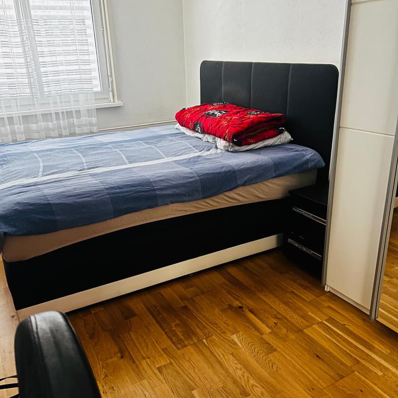 Appartement de 4,5 pièces (4)