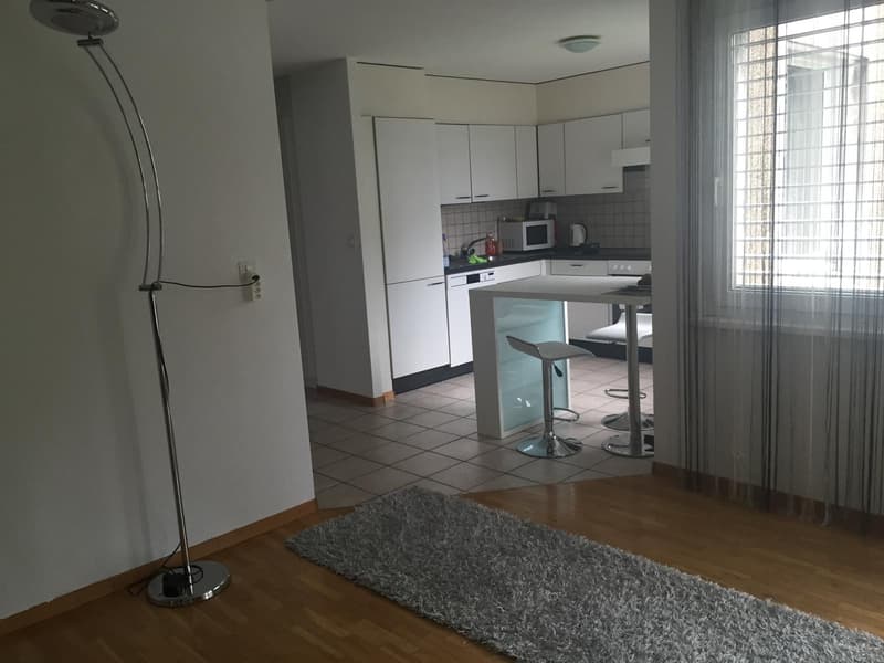 Appartement de 4,5 pièces (2)