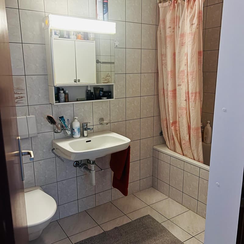Appartement de 4,5 pièces (3)