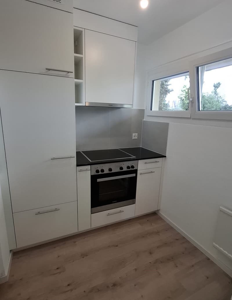 Appartement de 3 pièces entièrement rénové (4)