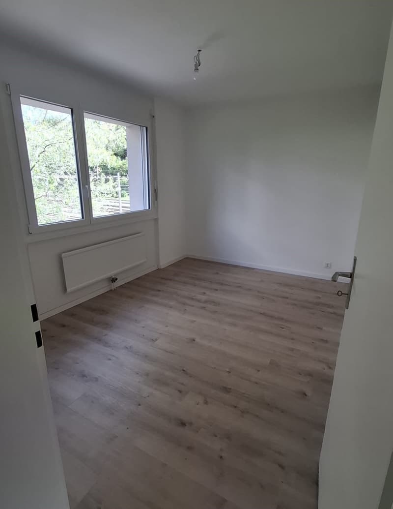 Appartement de 3 pièces entièrement rénové (6)
