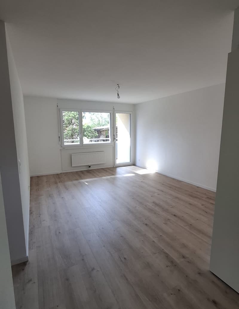 Appartement de 3 pièces entièrement rénové (1)