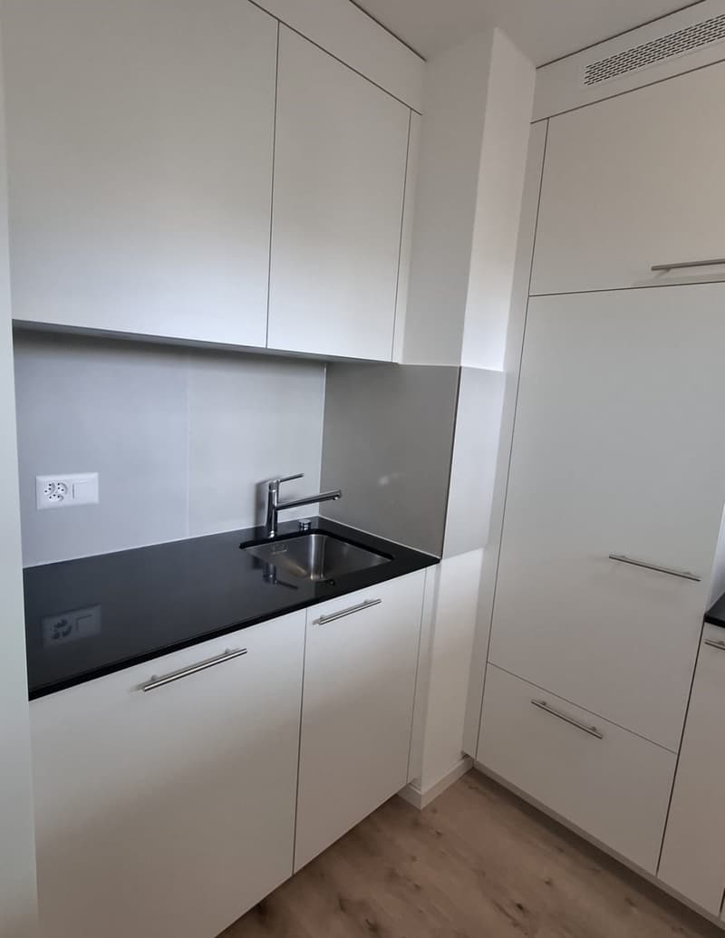 Appartement de 3 pièces entièrement rénové (3)