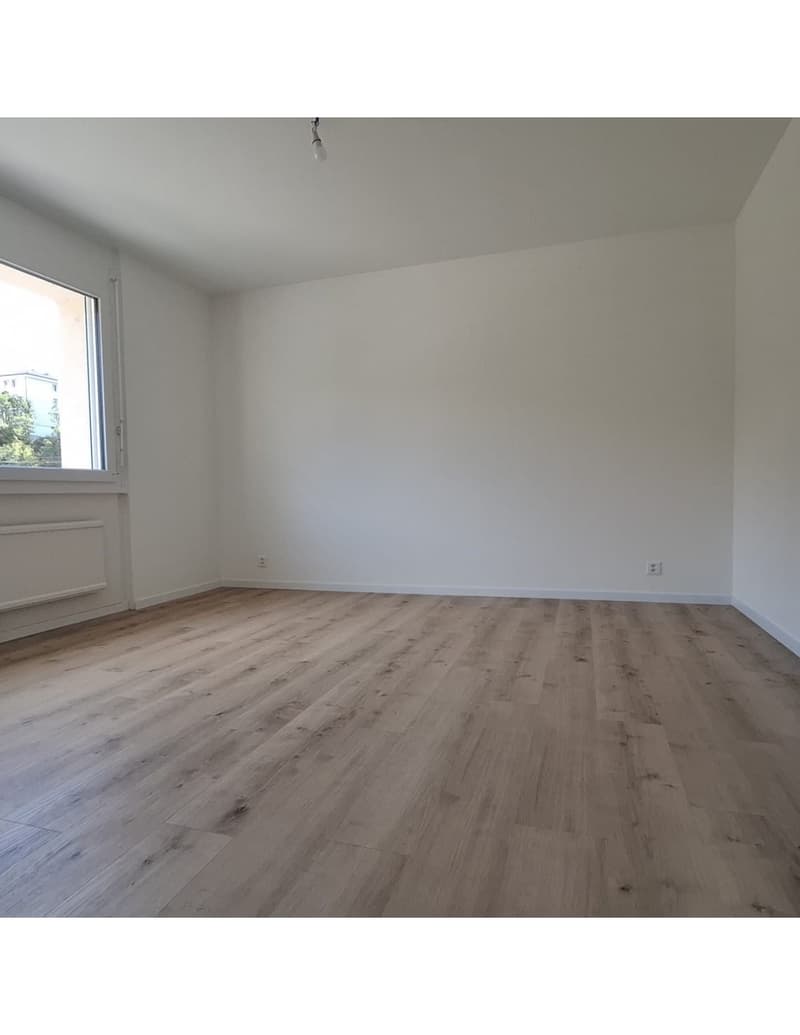 Appartement de 3 pièces entièrement rénové (5)