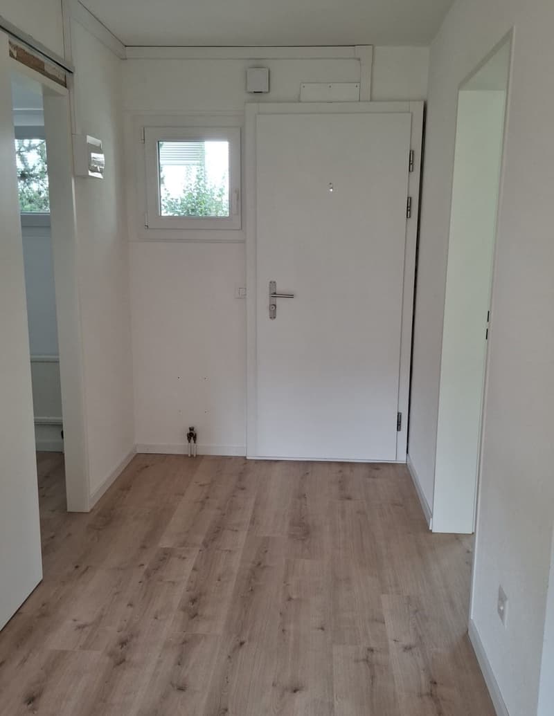 Appartement de 3 pièces entièrement rénové (2)