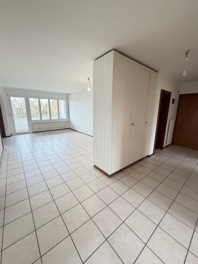 Appartement spacieux, actuellement en cours de rénovation partielle... (2)