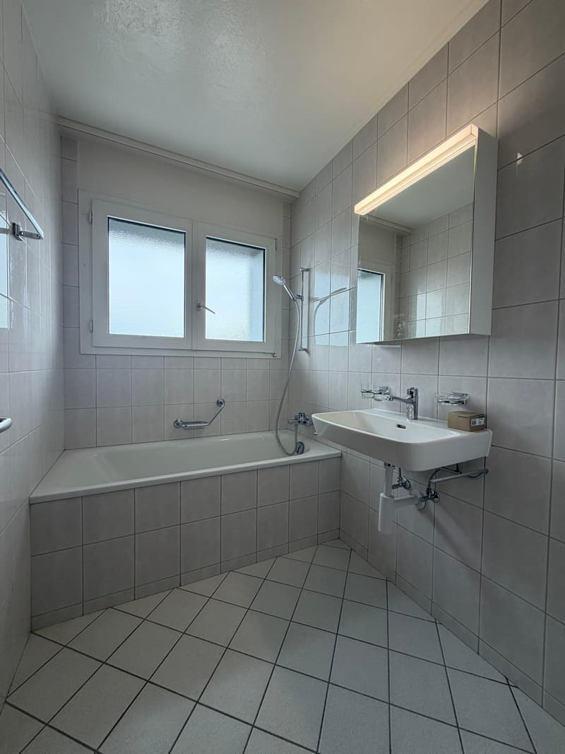 Appartement spacieux, actuellement en cours de rénovation partielle... (8)