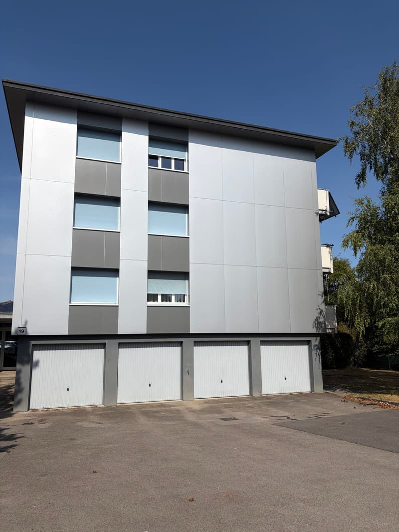 Magnifique appartement entièrement rénové de 4 pièces au rez-de-cha... (4)