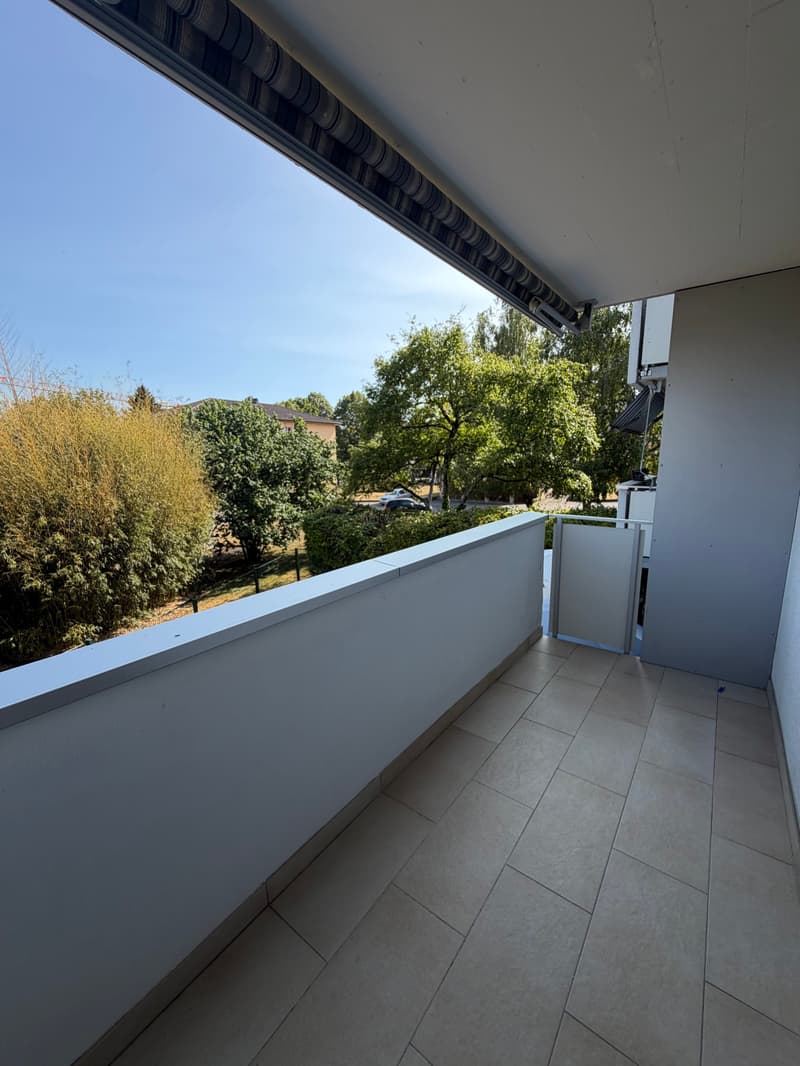 Magnifique appartement entièrement rénové de 4 pièces au rez-de-cha... (2)