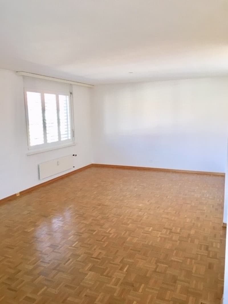 Beautiful 3.5-room apartment on the 5th floor (3)
