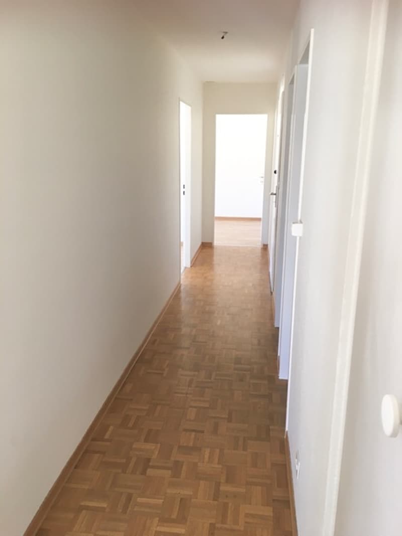 Beautiful 3.5-room apartment on the 5th floor (5)