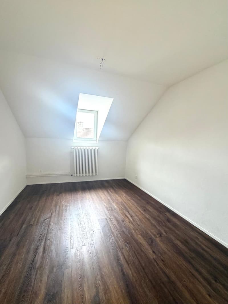 Bel appartement de 3 pièces (6)